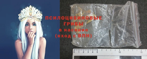 прущий лед Алексин