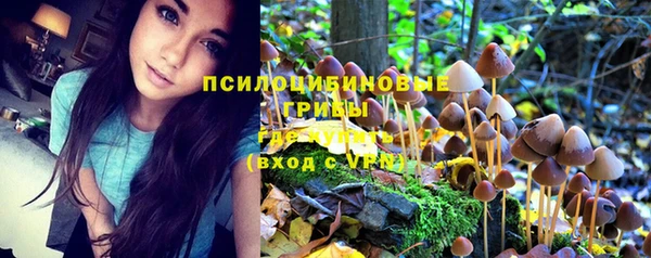 прущая мука Алексеевка