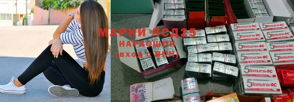 PSILOCYBIN Алзамай